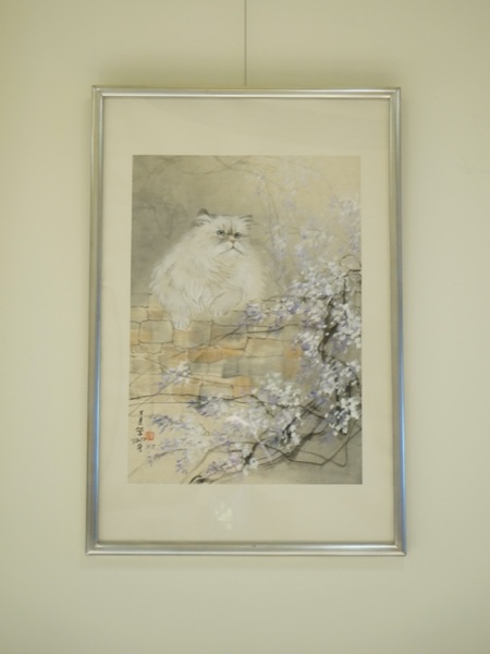 White Cat And Blossoming Branches